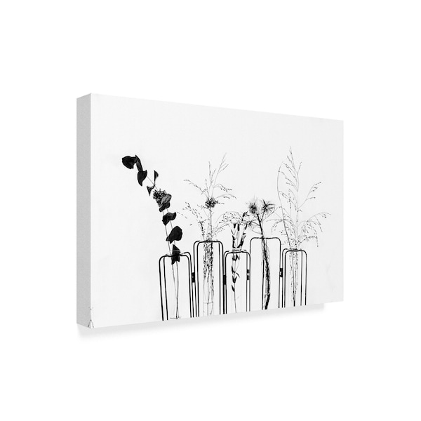 1X Prints 'Black Flowers On White Background' Canvas Art,22x32